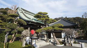 長谷寺（慈照院・慈光殿）