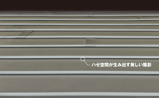 ハゼが生み出す美しい陰影