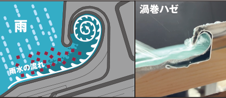 渦巻ハゼの解説